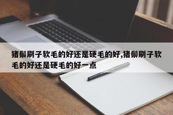 猪鬃刷子软毛的好还是硬毛的好,猪鬃刷子软毛的好还是硬毛的好一点