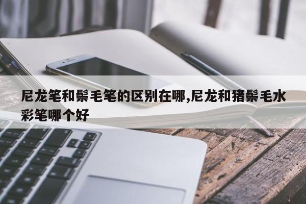 尼龙笔和鬃毛笔的区别在哪,尼龙和猪鬃毛水彩笔哪个好