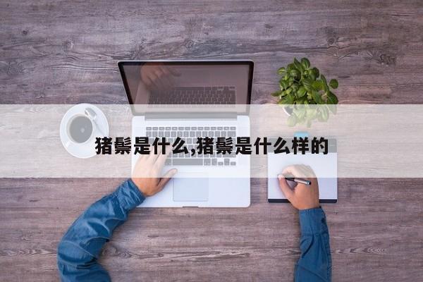 猪鬃是什么,猪鬃是什么样的