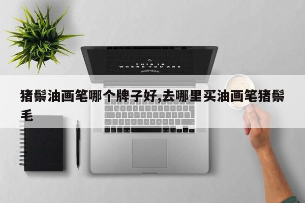 猪鬃油画笔哪个牌子好,去哪里买油画笔猪鬃毛