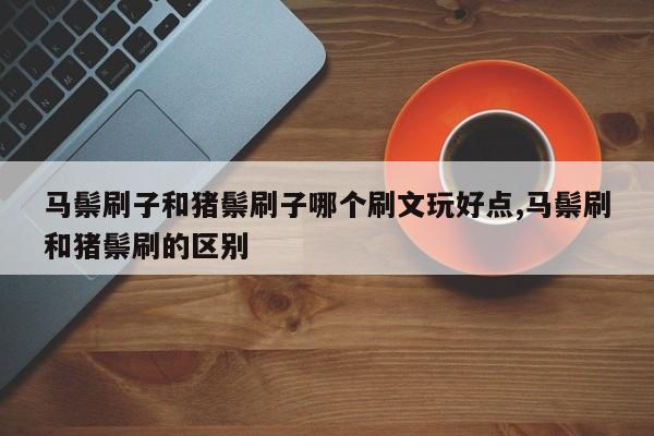 马鬃刷子和猪鬃刷子哪个刷文玩好点,马鬃刷和猪鬃刷的区别