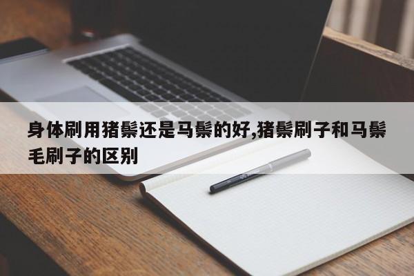 身体刷用猪鬃还是马鬃的好,猪鬃刷子和马鬃毛刷子的区别