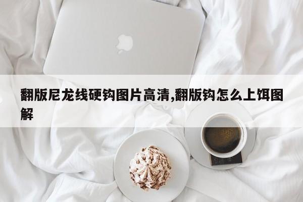 翻版尼龙线硬钩图片高清,翻版钩怎么上饵图解