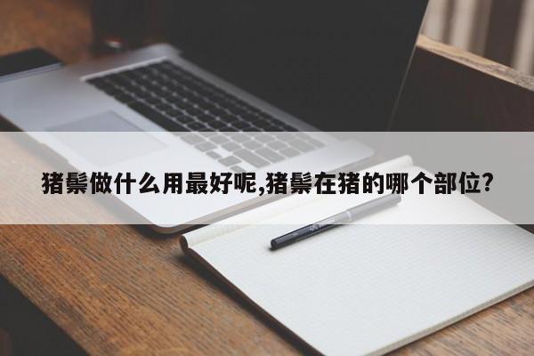 猪鬃做什么用最好呢,猪鬃在猪的哪个部位?