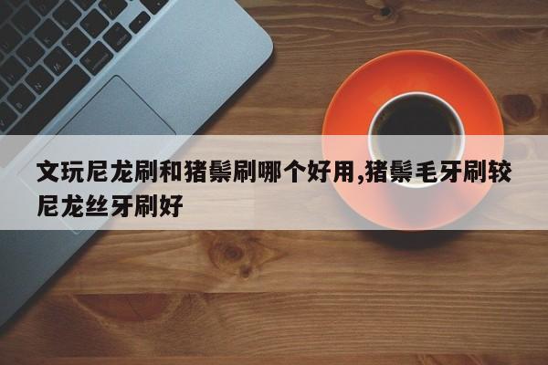 文玩尼龙刷和猪鬃刷哪个好用,猪鬃毛牙刷较尼龙丝牙刷好