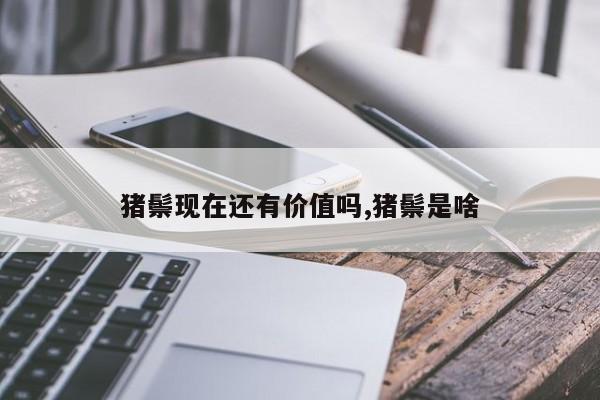 猪鬃现在还有价值吗,猪鬃是啥