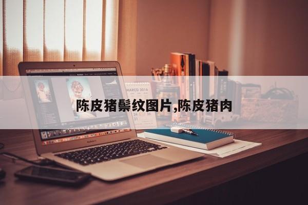 陈皮猪鬃纹图片,陈皮猪肉