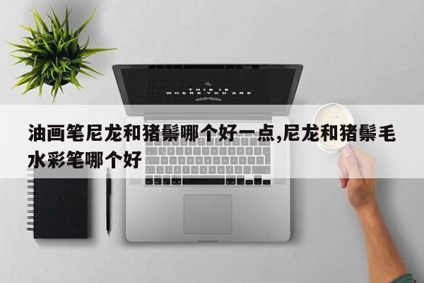 油画笔尼龙和猪鬃哪个好一点,尼龙和猪鬃毛水彩笔哪个好