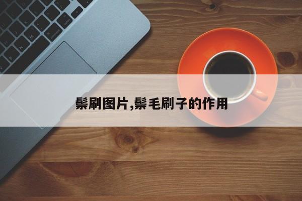 鬃刷图片,鬃毛刷子的作用