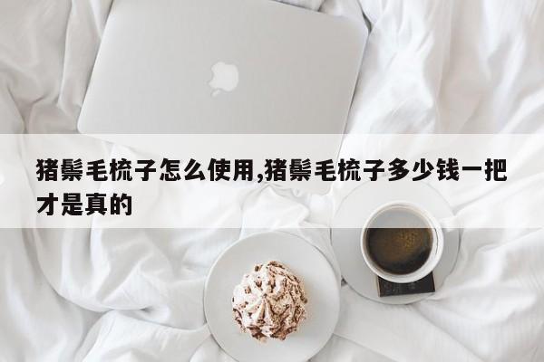 猪鬃毛梳子怎么使用,猪鬃毛梳子多少钱一把才是真的