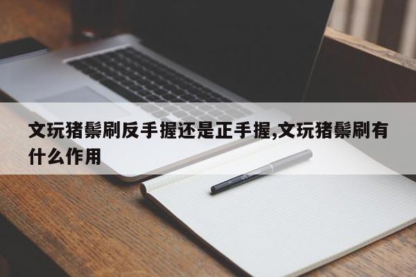 文玩猪鬃刷反手握还是正手握,文玩猪鬃刷有什么作用