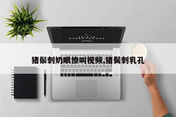 猪鬃刺奶眼惨叫视频,猪鬓刺乳孔