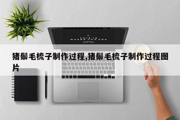 猪鬃毛梳子制作过程,猪鬃毛梳子制作过程图片