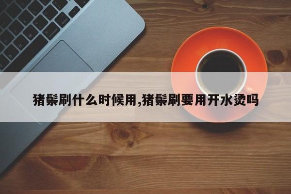 猪鬃刷什么时候用,猪鬃刷要用开水烫吗