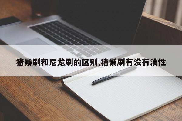 猪鬃刷和尼龙刷的区别,猪鬃刷有没有油性