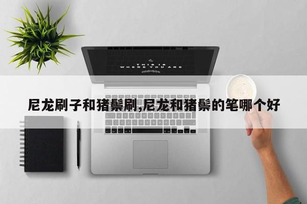 尼龙刷子和猪鬃刷,尼龙和猪鬃的笔哪个好