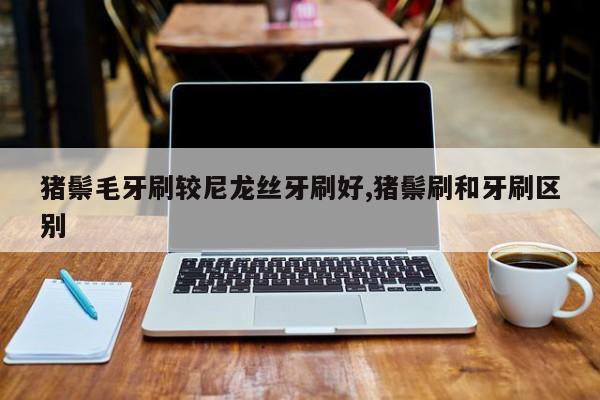 猪鬃毛牙刷较尼龙丝牙刷好,猪鬃刷和牙刷区别