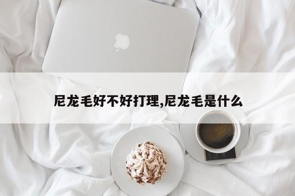 尼龙毛好不好打理,尼龙毛是什么