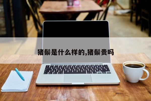 猪鬃是什么样的,猪鬃贵吗