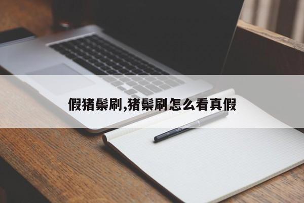 假猪鬃刷,猪鬃刷怎么看真假