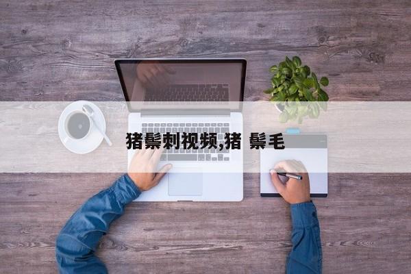 猪鬃刺视频,猪 鬃毛