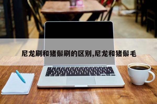 尼龙刷和猪鬃刷的区别,尼龙和猪鬃毛