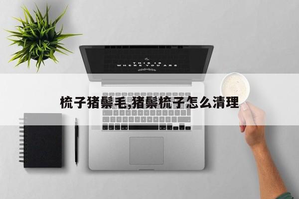 梳子猪鬃毛,猪鬃梳子怎么清理